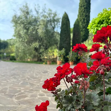 Agriturismo Fuccioli II Carmignano Exterior photo