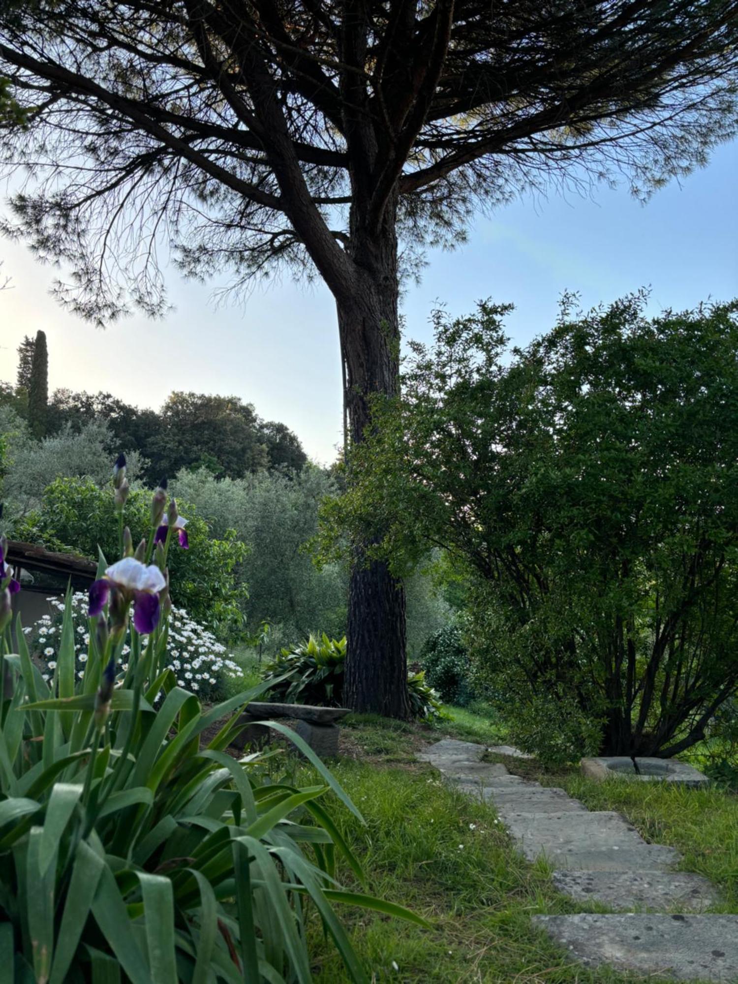 Villa Fuccioli Ii Carmignano