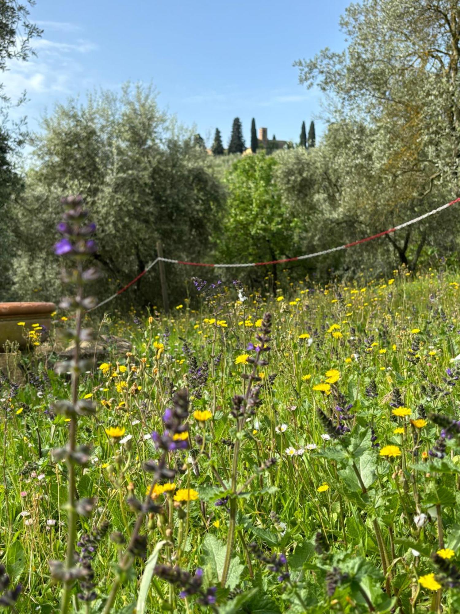 Fuccioli Ii Villa Carmignano