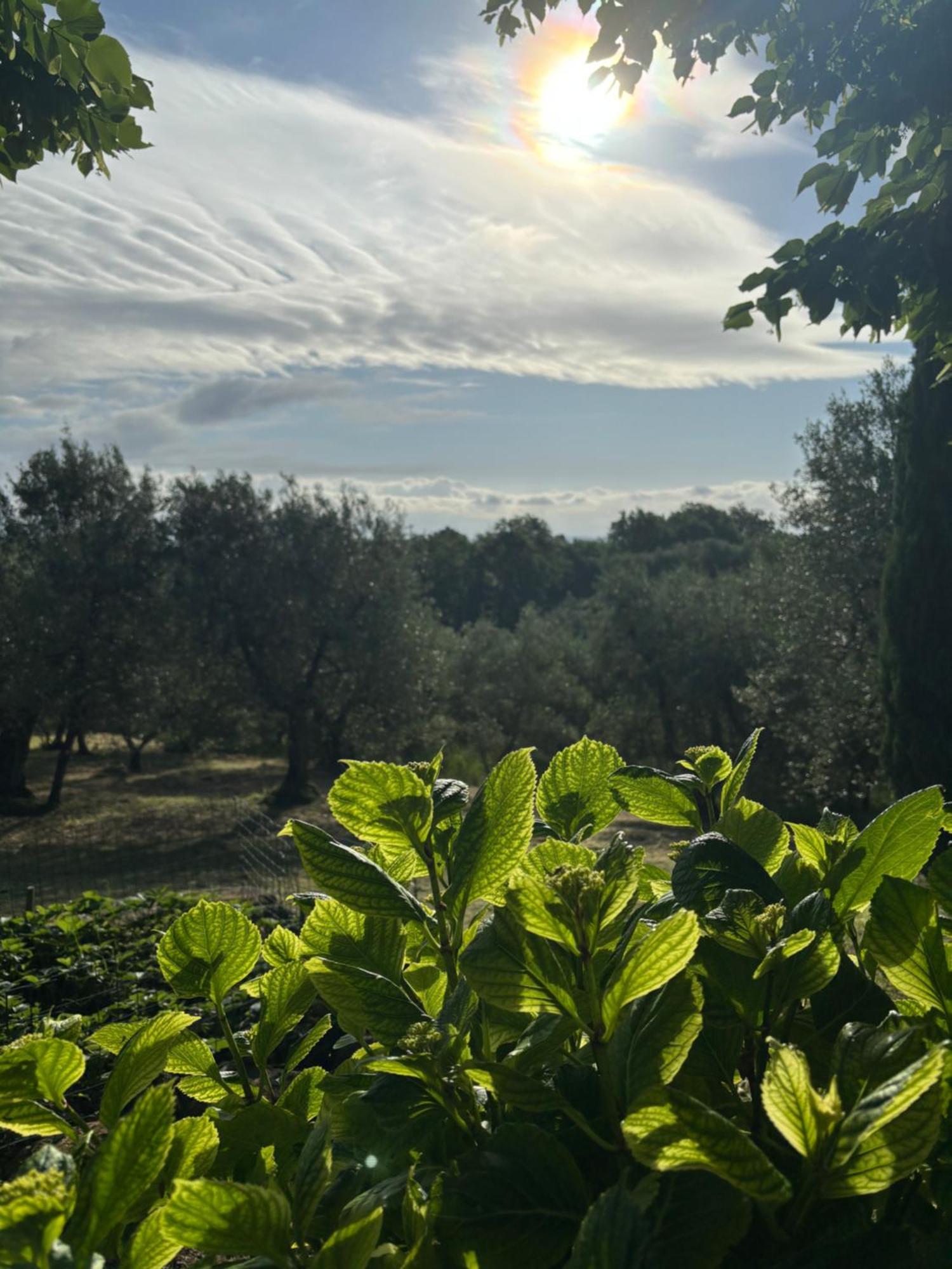 Villa Fuccioli Ii
